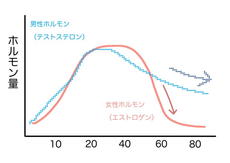 更年期のホルモンバランスの変化